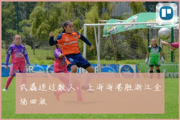 武磊连过数人，上海海港胜浙江全场回放