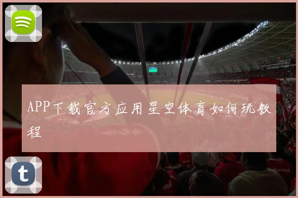 APP下载官方应用星空体育如何玩教程